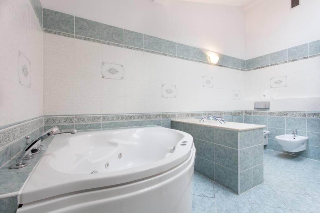 Florianska Penthouse Delux